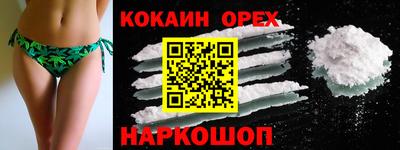 мдпв Новозыбков