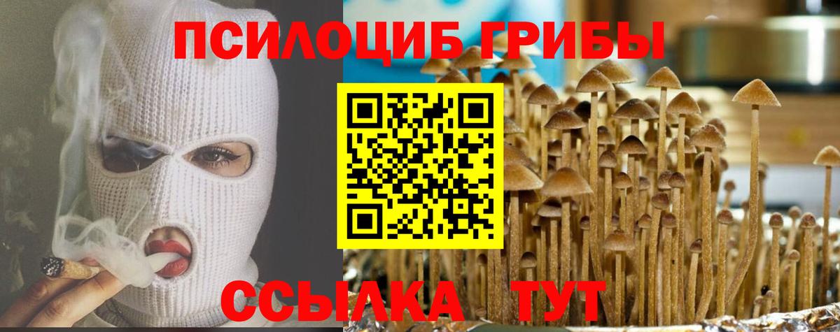 Галлюциногенные грибы ЛСД  наркота  Хасавюрт  Вход с VPN  Галлюциногенные грибы ЛСД 